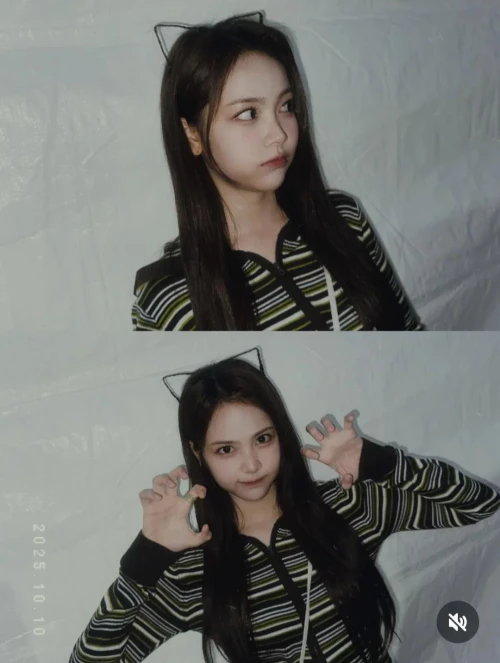 251015-cat-ear-carmen-v0-jwlzin2aca1h1.webp