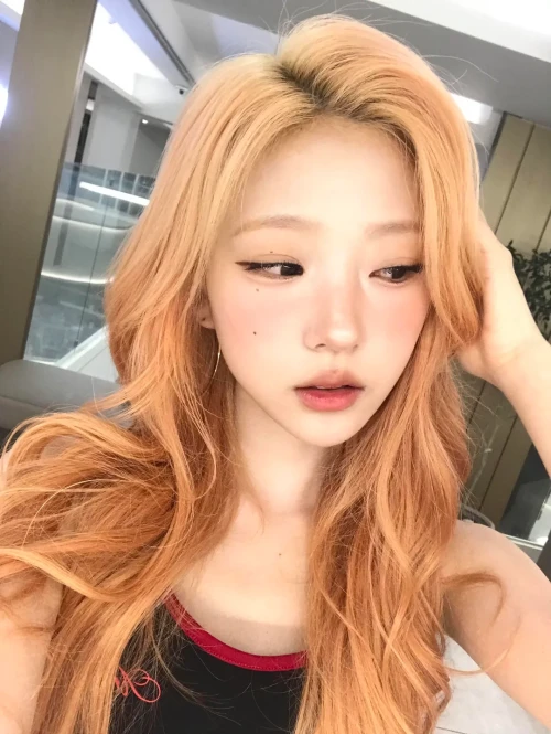 260520-stella-weverse-update-v0-whyjkthvhb2h1.webp