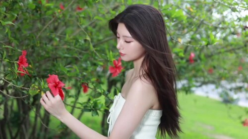 m2-res_720p9a3bc08744433c65.mp4