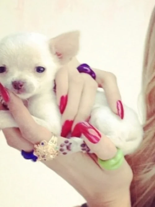 260522-ningning-instagram-update-v0-x5kf5ewlnn2h1.webp