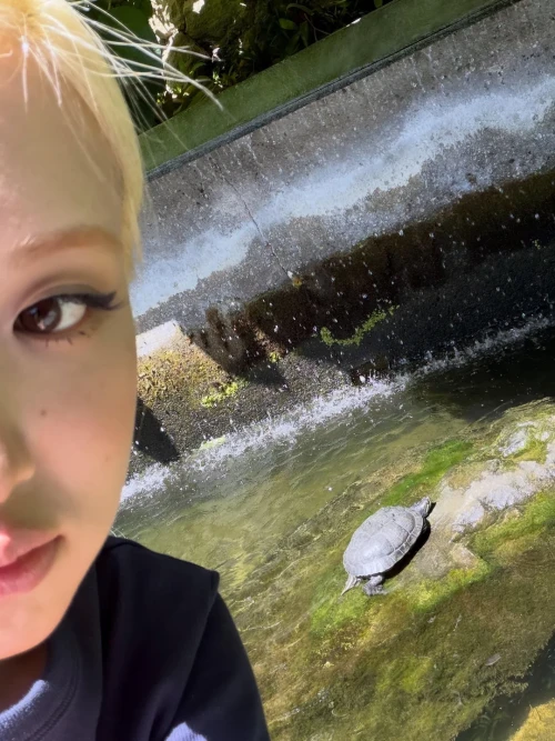 260524-rose-ig-update-v0-c1fawxlnkz2h1.webp