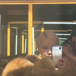 260524-rose-ig-update-v0-sfkfdylnkz2h1