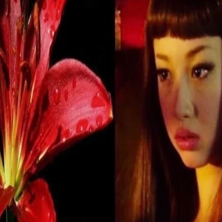 260528-giselle-instagram-update-v0-m4oaxr41dp3h1