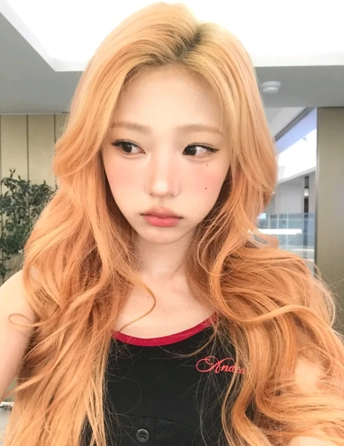 260528-stella-weverse-update-v0-02e4lskvtv3h1.webp