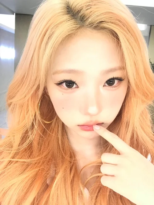 260528-stella-weverse-update-v0-5o55vrkvtv3h1.webp