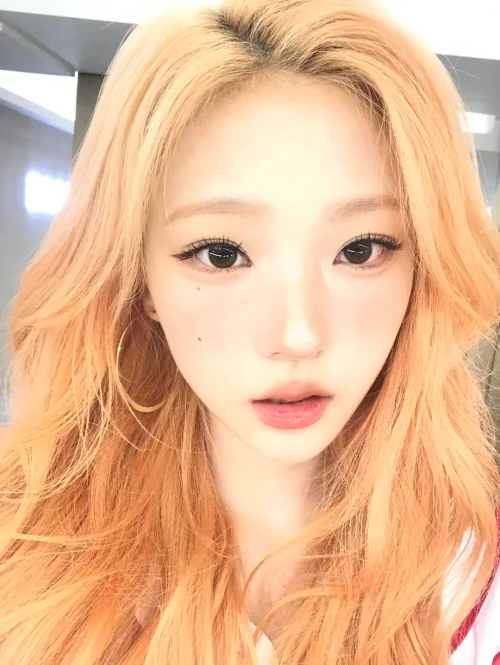 260528-stella-weverse-update-v0-m3qzlrkvtv3h1.webp