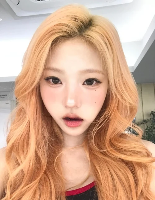 260528-stella-weverse-update-v0-qieg1rkvtv3h1.webp